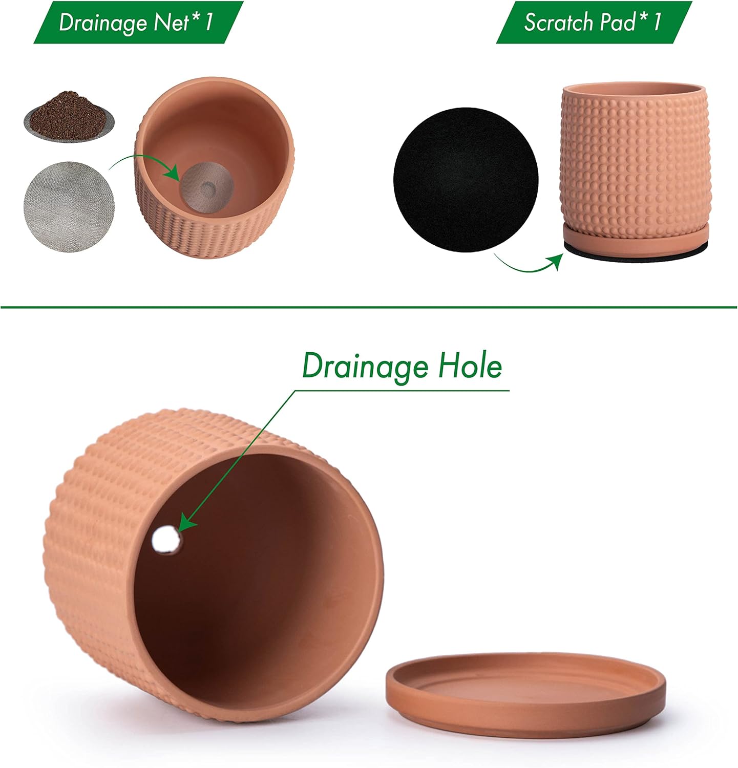 D'vine Dev Beaded Terracotta Pot with Saucer, 6 in, Terra Cotta, 27-C-X-7 | Embossed Dot Texture, Smooth Glazed Finish