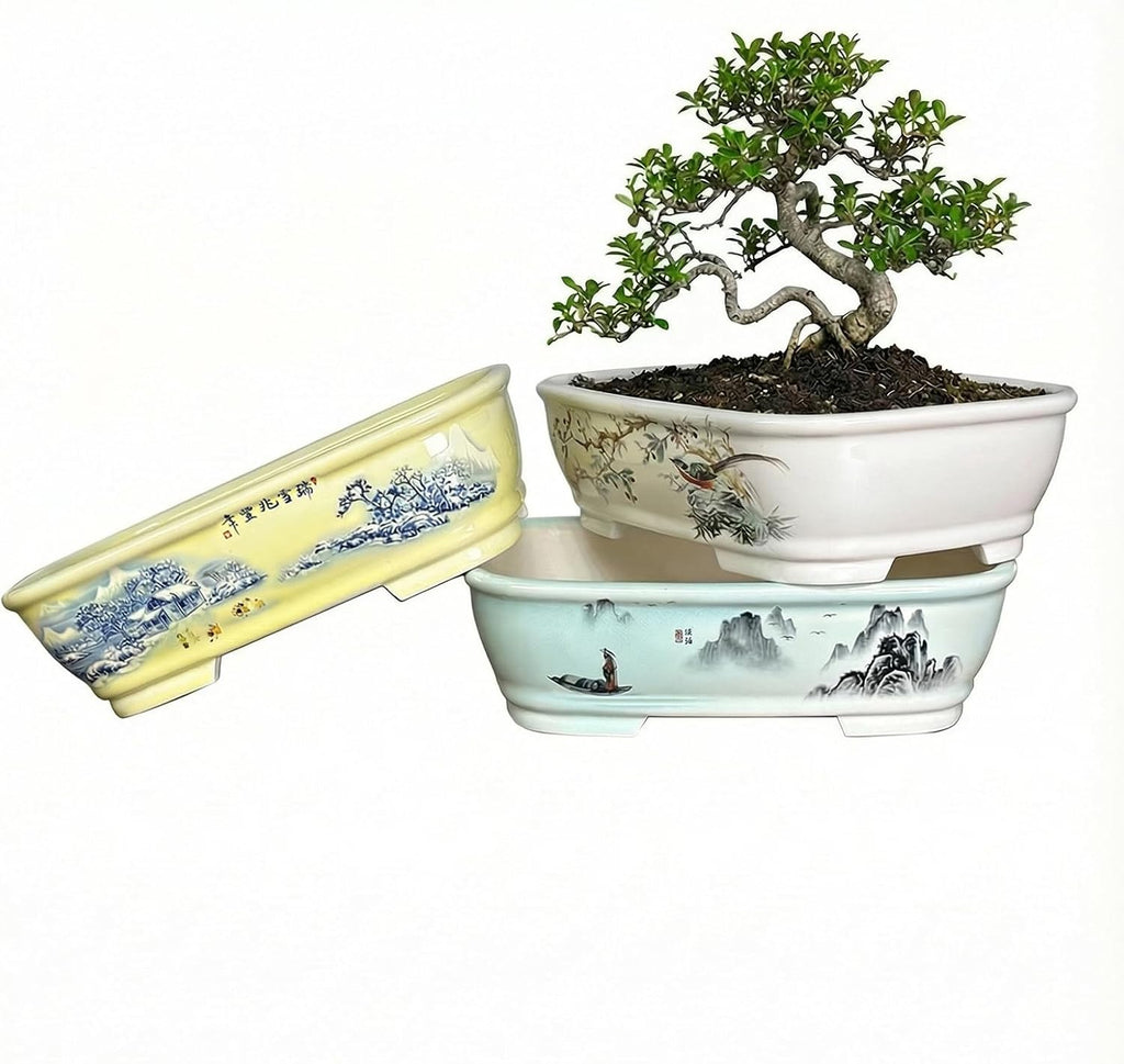 8" Bonsai Pots with Tray, Rectangular Planter in Blue & White | 8" glazed ceramic bonsai pots with tray, large shallow