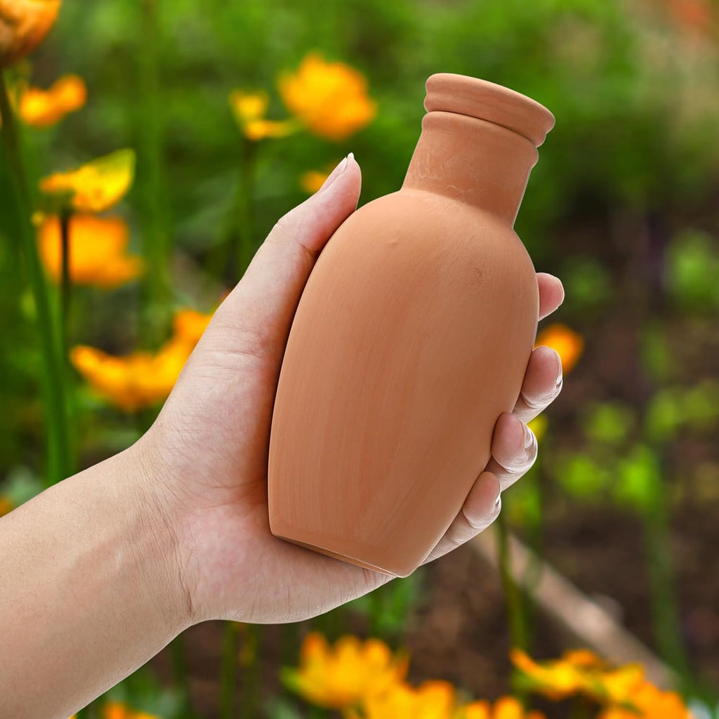 JUXYES 6 Pack Terracotta Self Watering Pots Watering System Planter Spikes | 18 oz Plant Watering Globes with Lid
