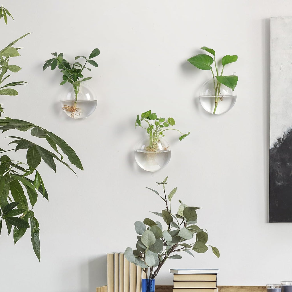 Wall Propagation Planters 6 Pack Wall Glass Planters Wall Plant Holder | Glass Wall Vase, Indoor Hydroponic Decor