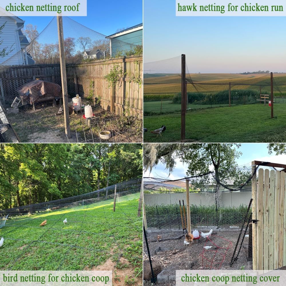 Bird Netting for Chicken Coop 25x50 Ft, 1" Mesh Aviary Netting | Woven Chicken Run Roof Cover, Protects Against Hawks &