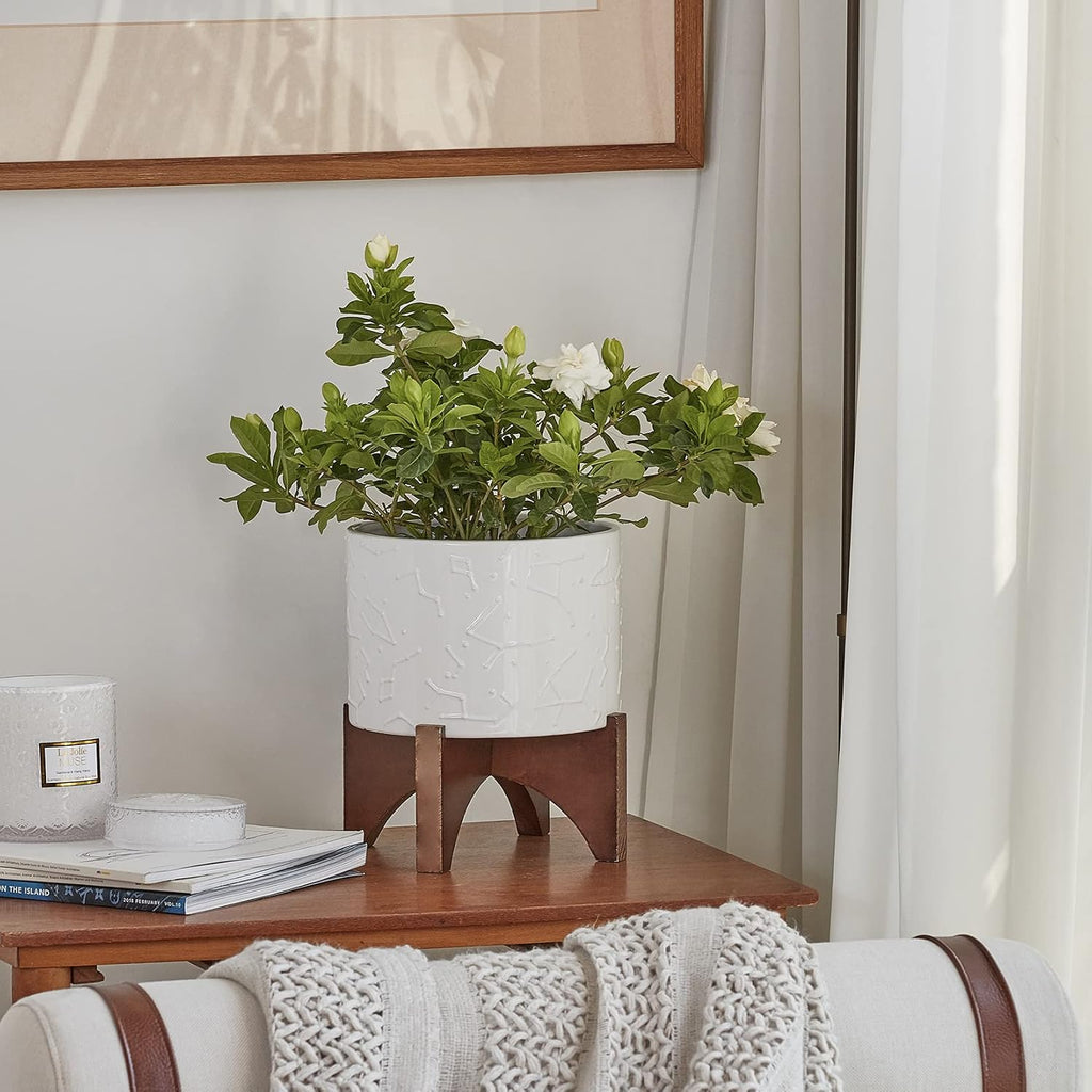 LA JOLIE MUSE Ceramic Pot for Plants, 8 Inch Indoor Planter with Stand | Decorative Plant Pot with Wood Stand and