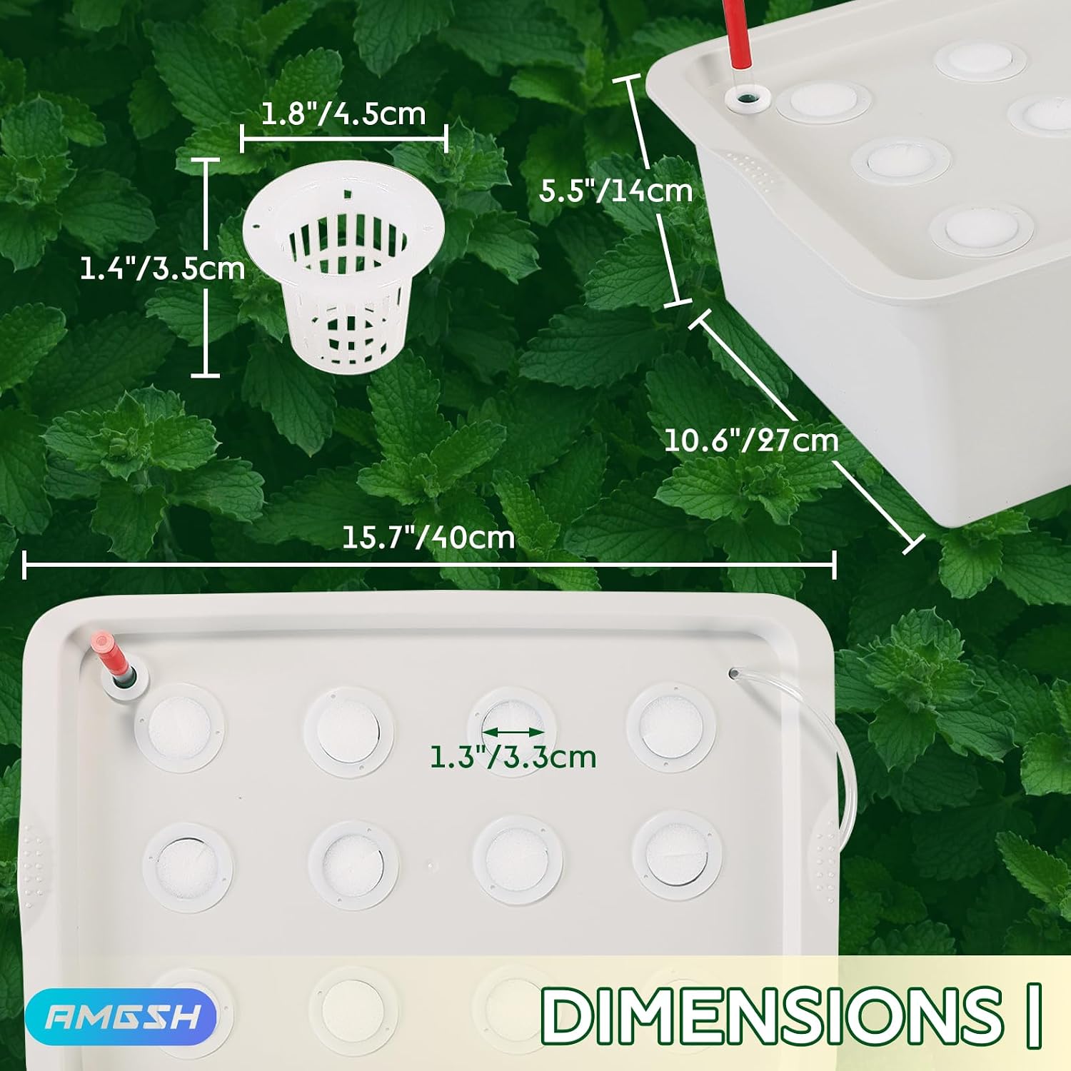 Hydroponics Growing System Kit with Air Pump, Bubble Stone | 12-Hole Indoor Hydroponic System Grow Box, Indoor