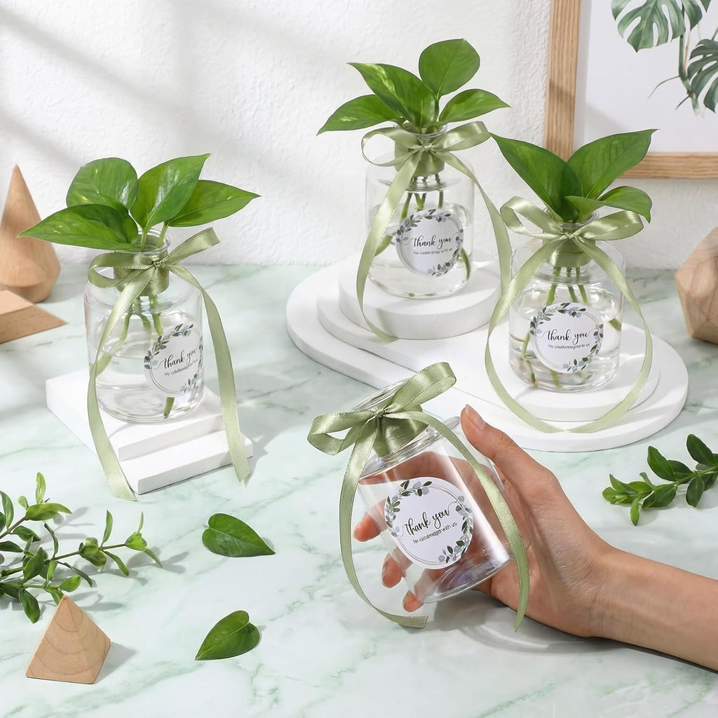 30 Set 4.33'' Wedding Party Favors Plastic Plant Propagation Stations for Guest Bulk 4oz Plant Propagation Jars Planter