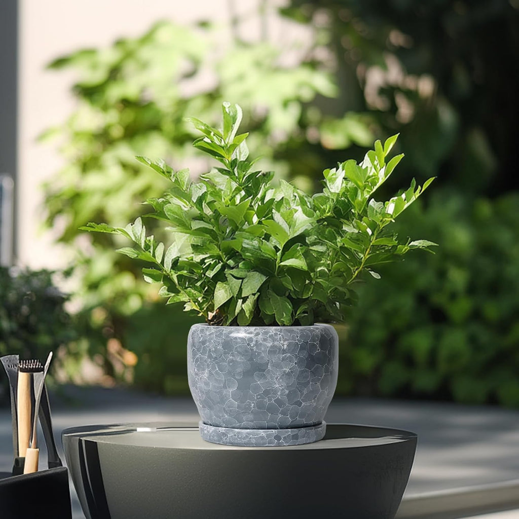 SQOWL 6 Inch Plant pots Indoor - Ceramic Planter with Drainage Hole and Saucer, Ceramic Flower Pot Outdoor, Decorative