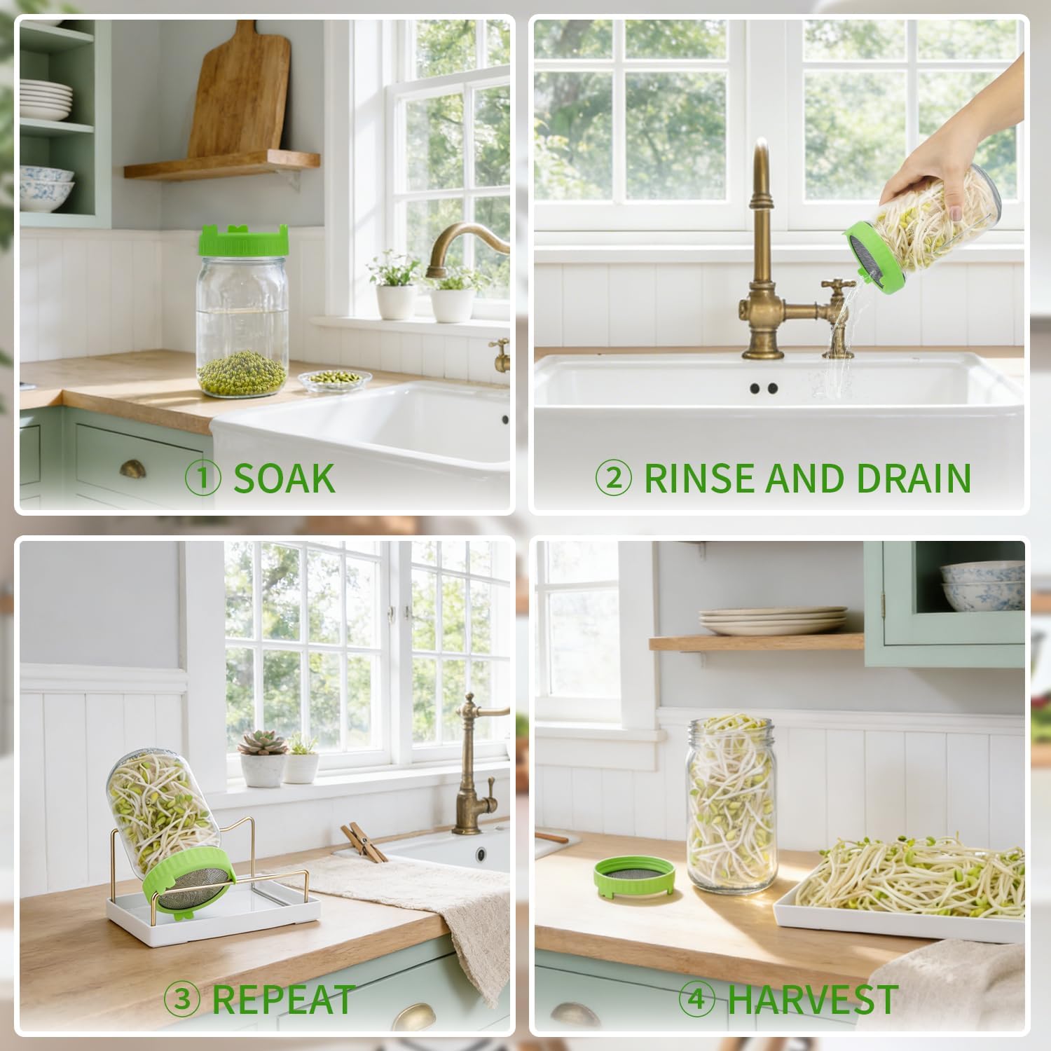 Seed Sprouting Jar Kit with Mung Beans 2.9oz, 2 Large Wide Mouth Mason Jars with Sprouting Lids, Blackout Sleeves