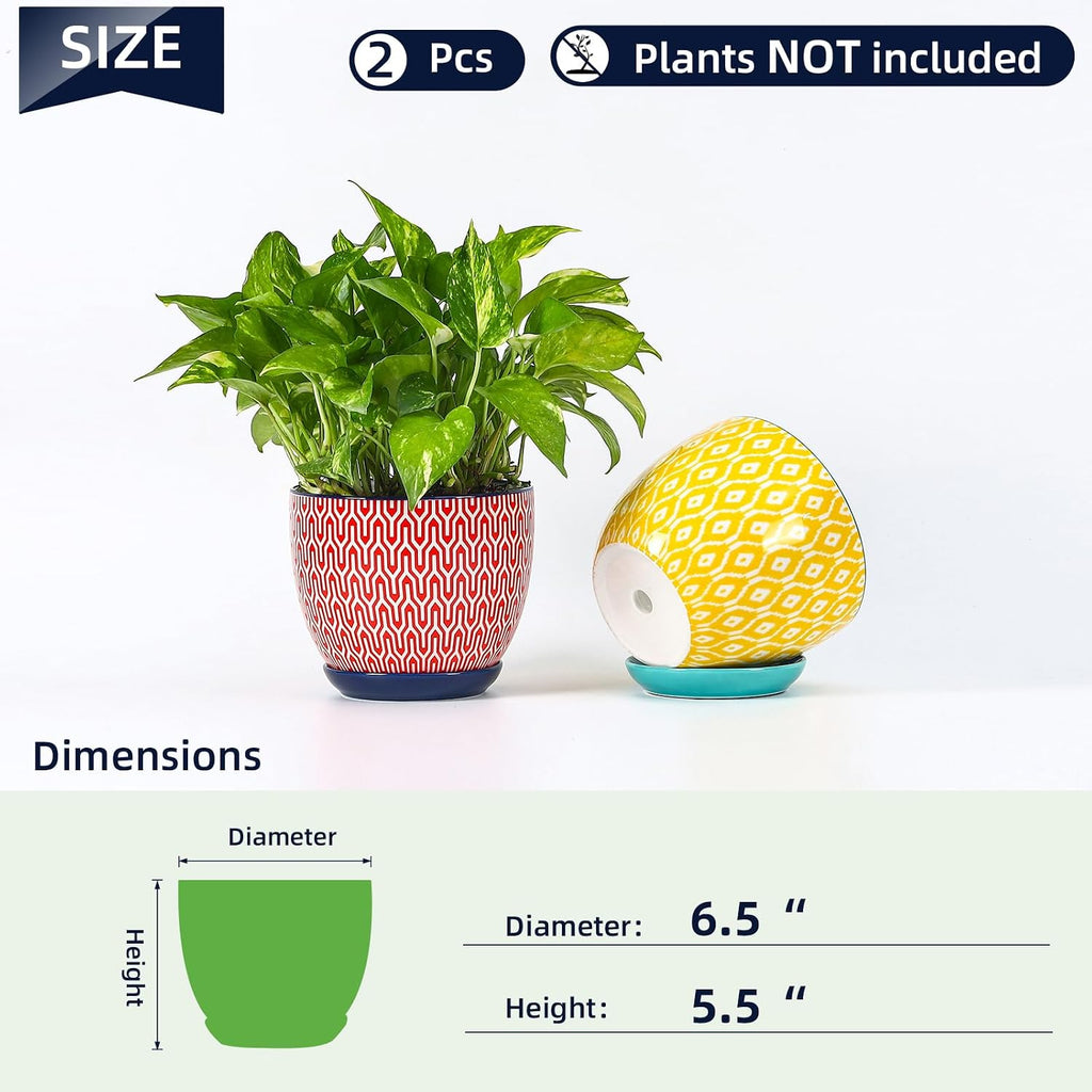 Selamica Ceramica Plant Pots, 6.5 Inch Flower Pots Set of 2 with Drainage Holes & Saucer, Planters for Indoor Plants