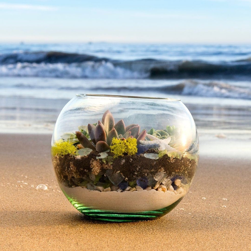 SuperMoss (90420) Beach Terrarium DIY Kit – Create Stunning Nature-Inspired Mini Gardens – Perfect for Home Decor