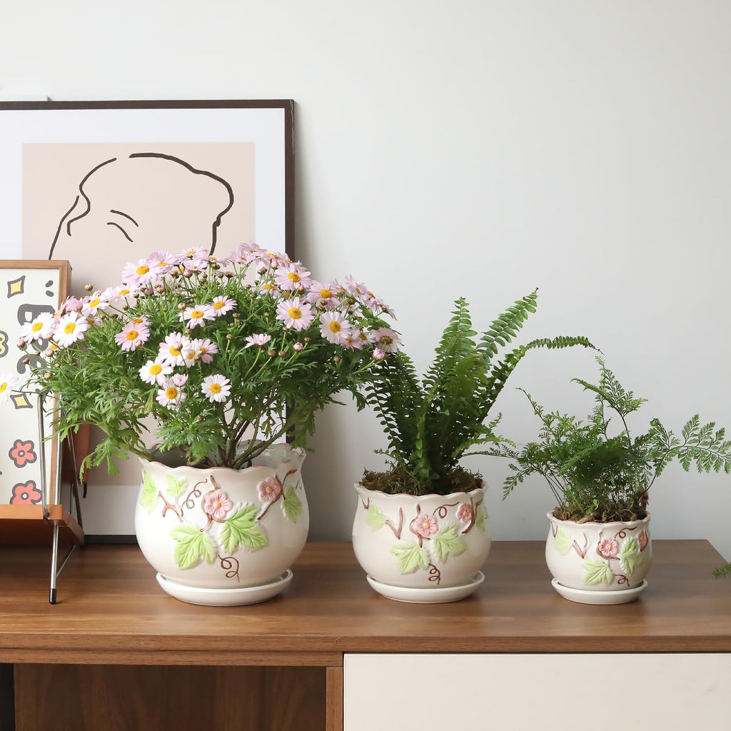 Ceramic Plant Pots with Drainage Holes and Saucers, Small Planters Set of 3 | Round Hand-painted Green Flower Pots for
