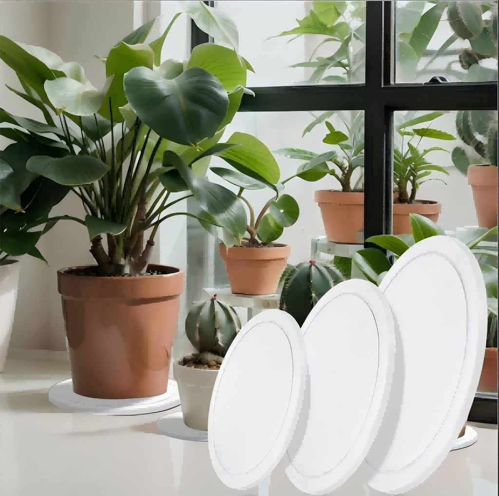 Drydiet 3 Pack Diatomaceous Earth Plant Saucer Set 6/8/10 Inch Quick Dry Absorbent Plants Tray Absorbing Plant Tray for