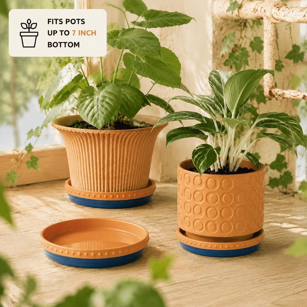 Plant Saucers, 8" Plant Trays to Catch Water, 2 Pcs, Premium Terracotta | Glazed navy blue and terracotta ceramic