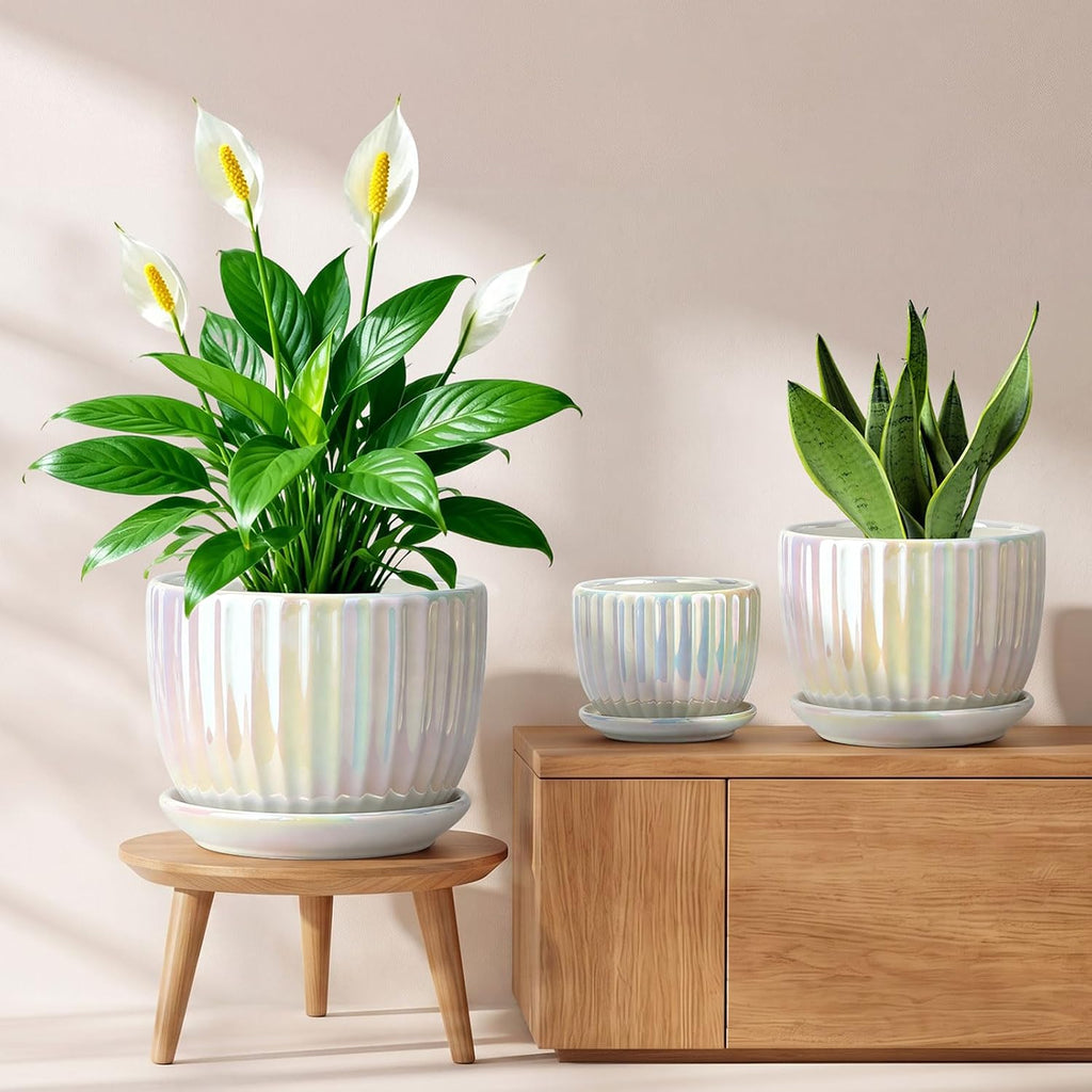 Plant Pots,Ceramic Flower Pots with Drainage Holes & Saucer Set of 3（Pearl） | Pots for Indoor Plants | Decorative
