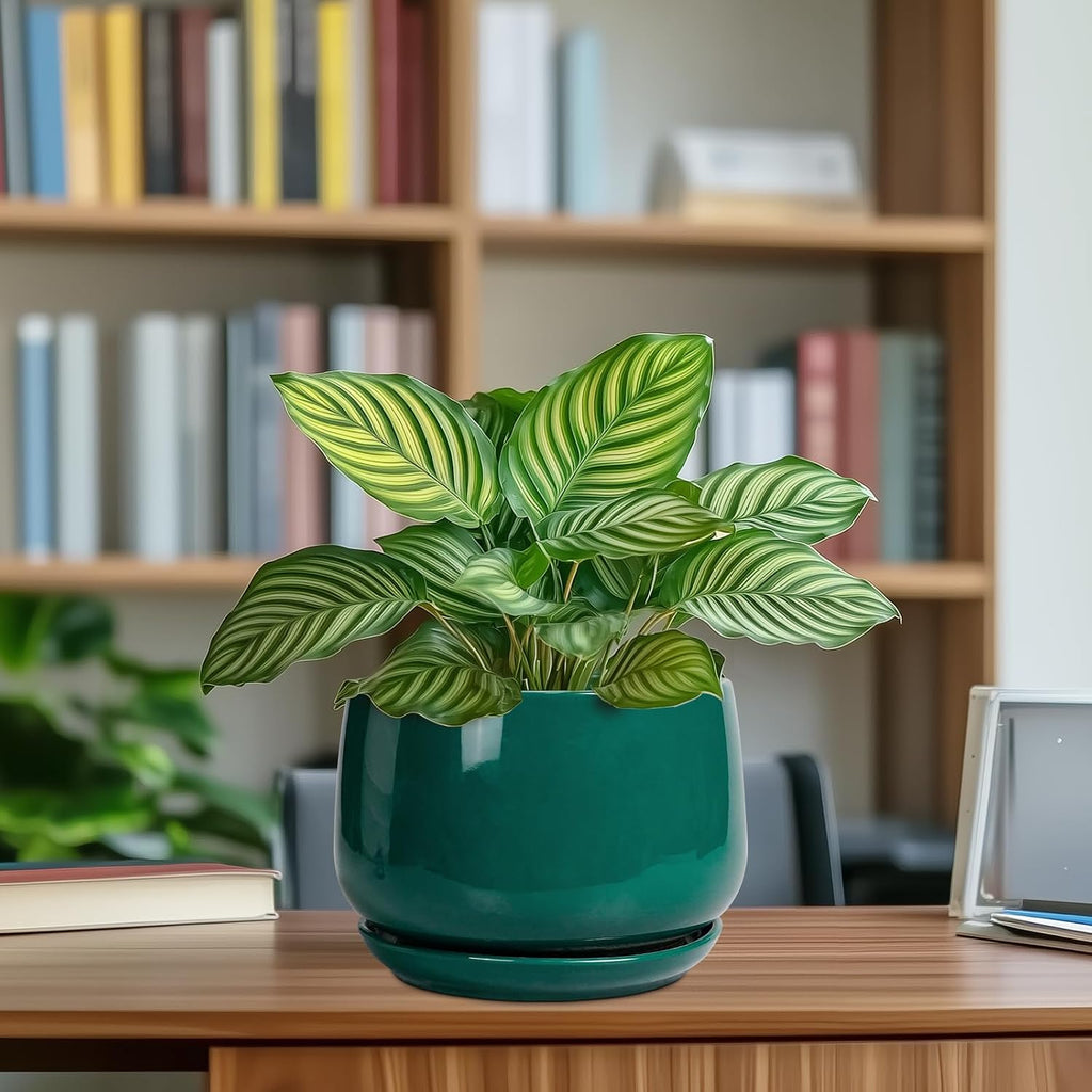 G EPGardening Ceramic Planter for Indoor Plants - 7 Inch Plant Pot, Round Planter with Drainage and Saucer, Round