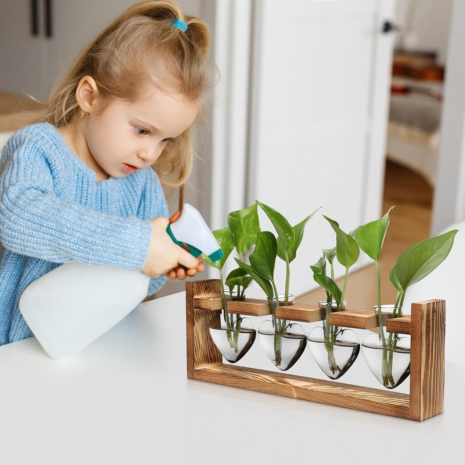 Plant Propagation Stations Heart Plant Terrarium Kit | Gift for Women Plant Lover Glass Vases