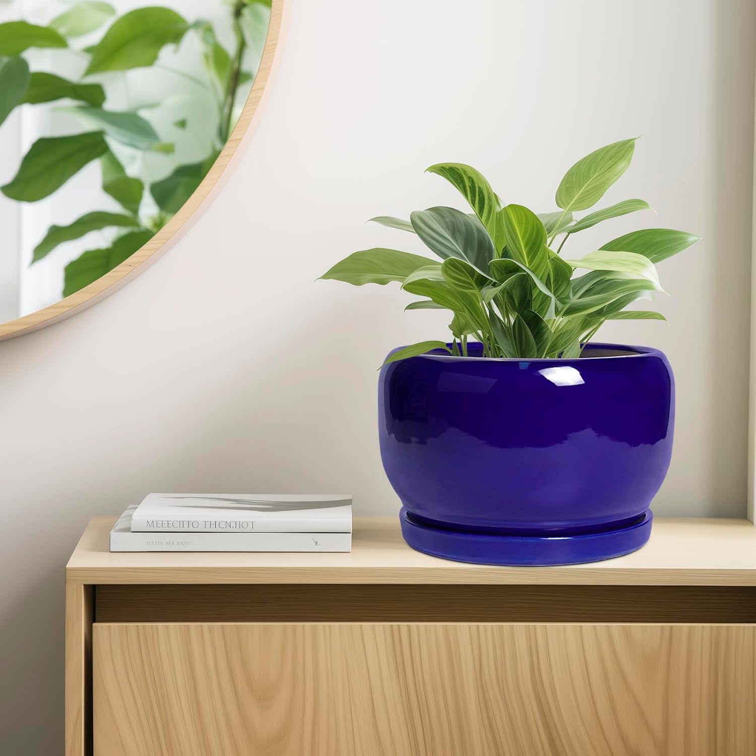SQOWL Ceramic Plant Pot - 10 Inch Ceramic Planter for Indoor Outdoor, Round Flower Pot with Drainage Hole and Saucer