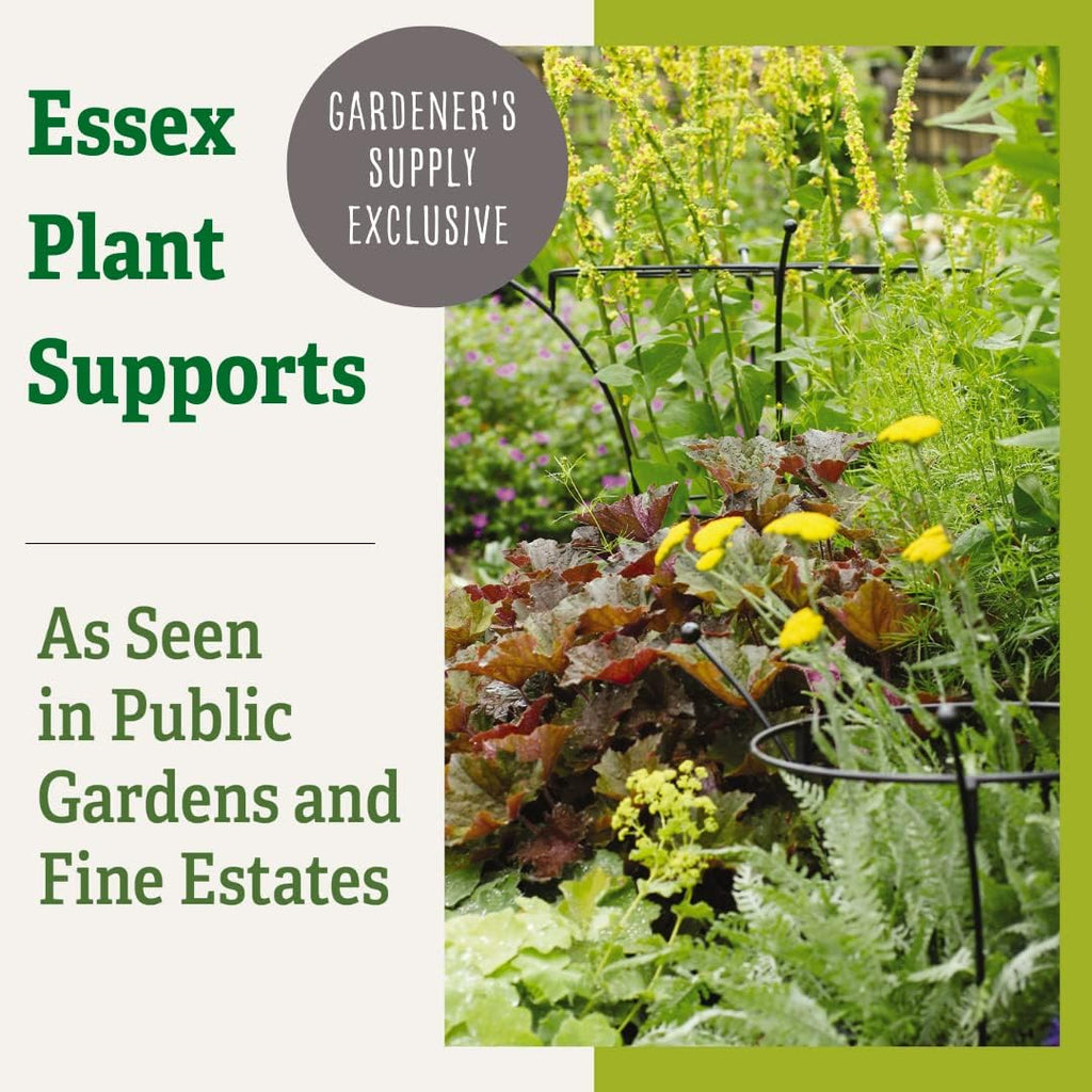 Gardener's Supply Company Essex Plant Support Frame for Peonies, Rose, Ornamental Flower Garden Cage - Wide Top Rings