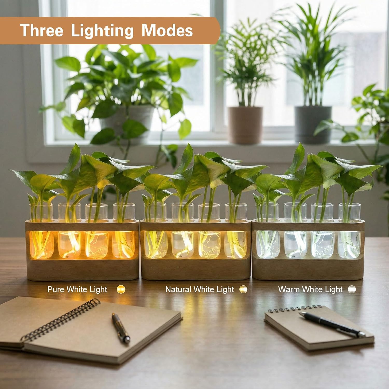 Plant Propagation Station with LED Grow Light, Rechargeable Wooden Desktop Planter Terrarium with 4 Glass Test Tubes