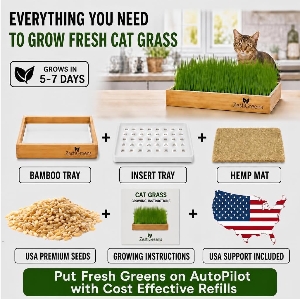 Cat Grass for Indoor Cats - Self-Watering Cat Grass Planter Kit | Reusable no-soil self-watering planter grows fresh