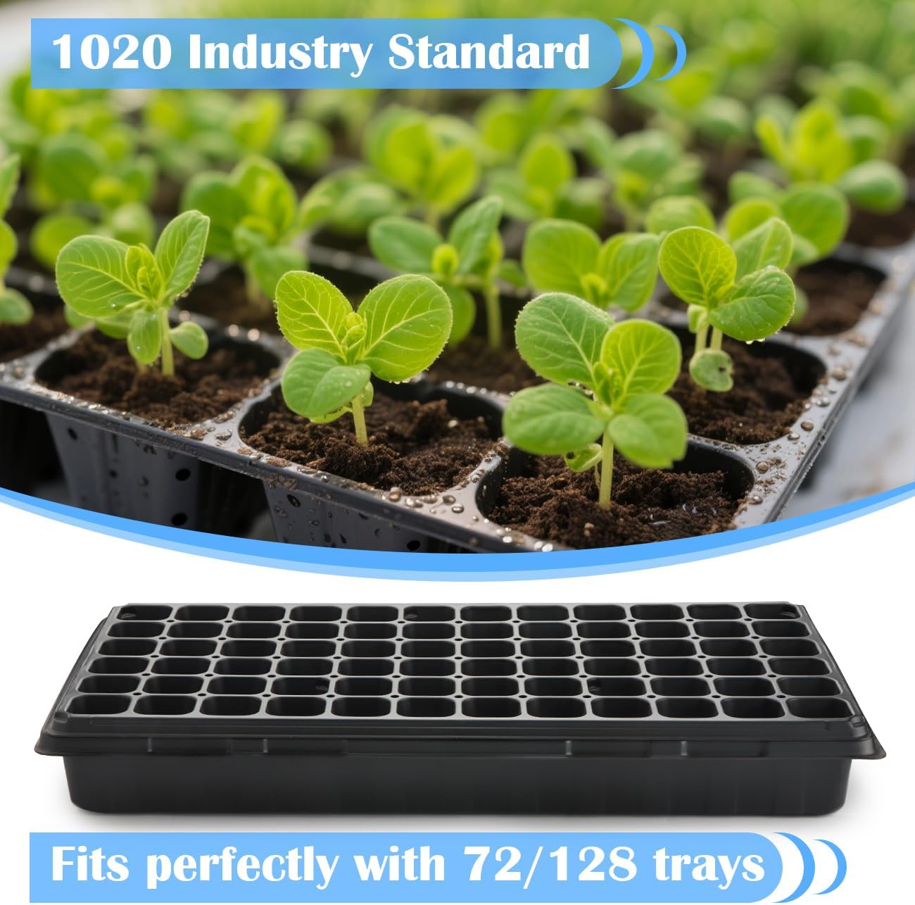 10-Pack Heavy-Duty 1020 Seed Trays No Holes, Thick Plastic Plant Flats | Reusable Growing Trays for Seed Starting