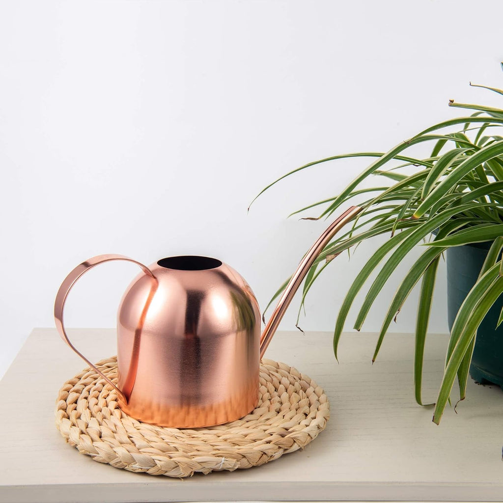 IMEEA 30oz Indoor Plant Watering Can Stainless Steel Long Spout, Rose Gold