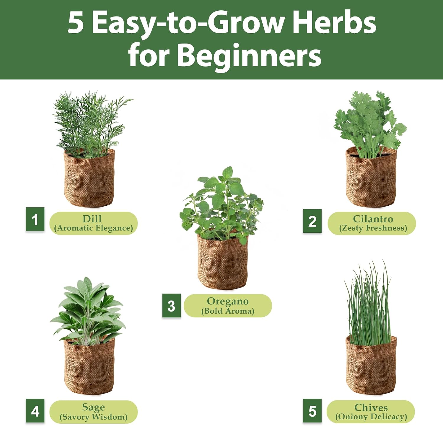 5 Herb Garden Planter Indoor with Wooden Box, Home Kitchen Seed Starter Kit Including Dill, Cilantro, Oregano, Sage