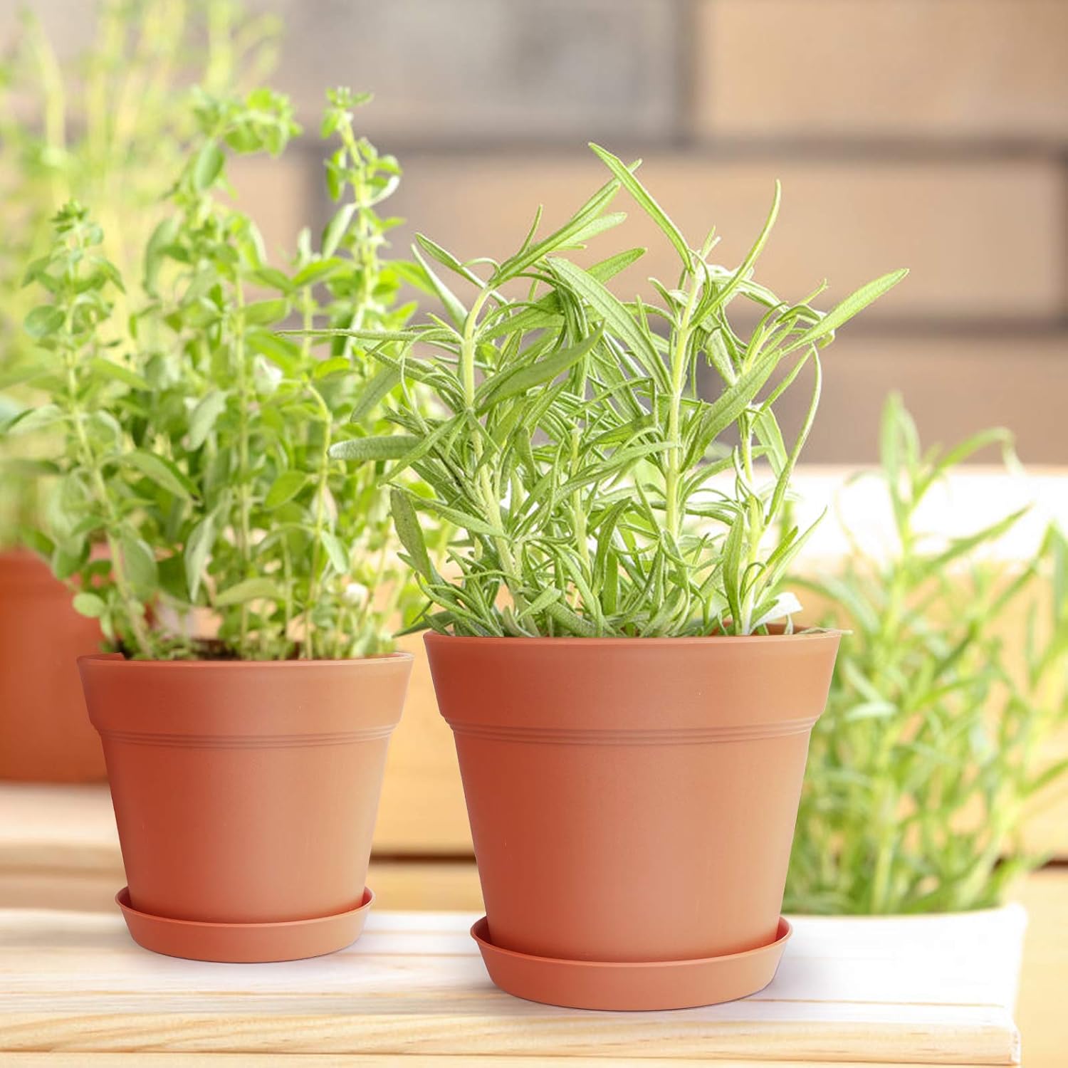 6 Inch Plastic Flower Pots with Drainage Holes and Trays (15 Pcs) | Matte terracotta finish suits orchids, snake