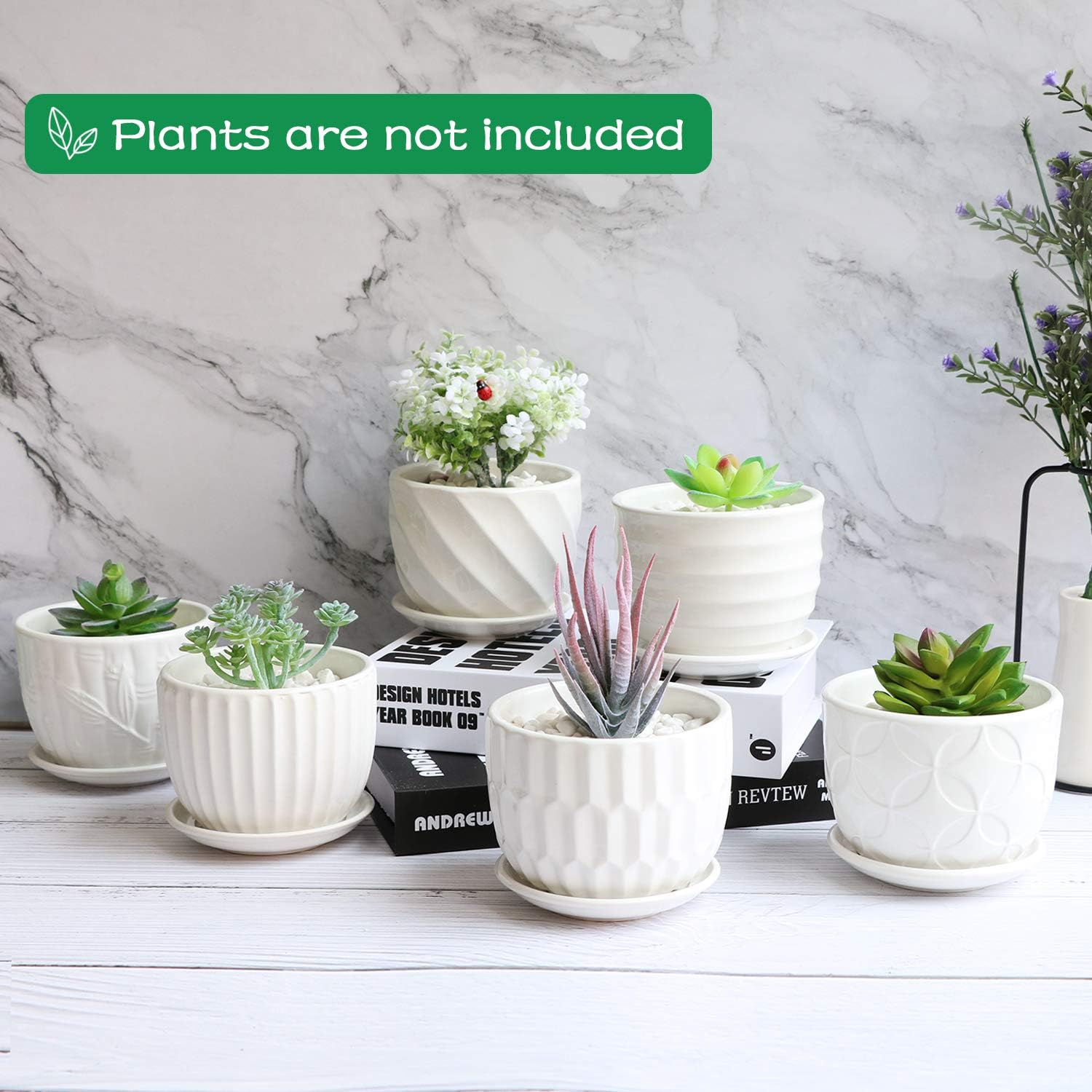 Flower Pots, 4 Inch Cylinder Ceramic Plant Pots with Connected Saucer, Mini Ceramic Planters for Succulent and Little