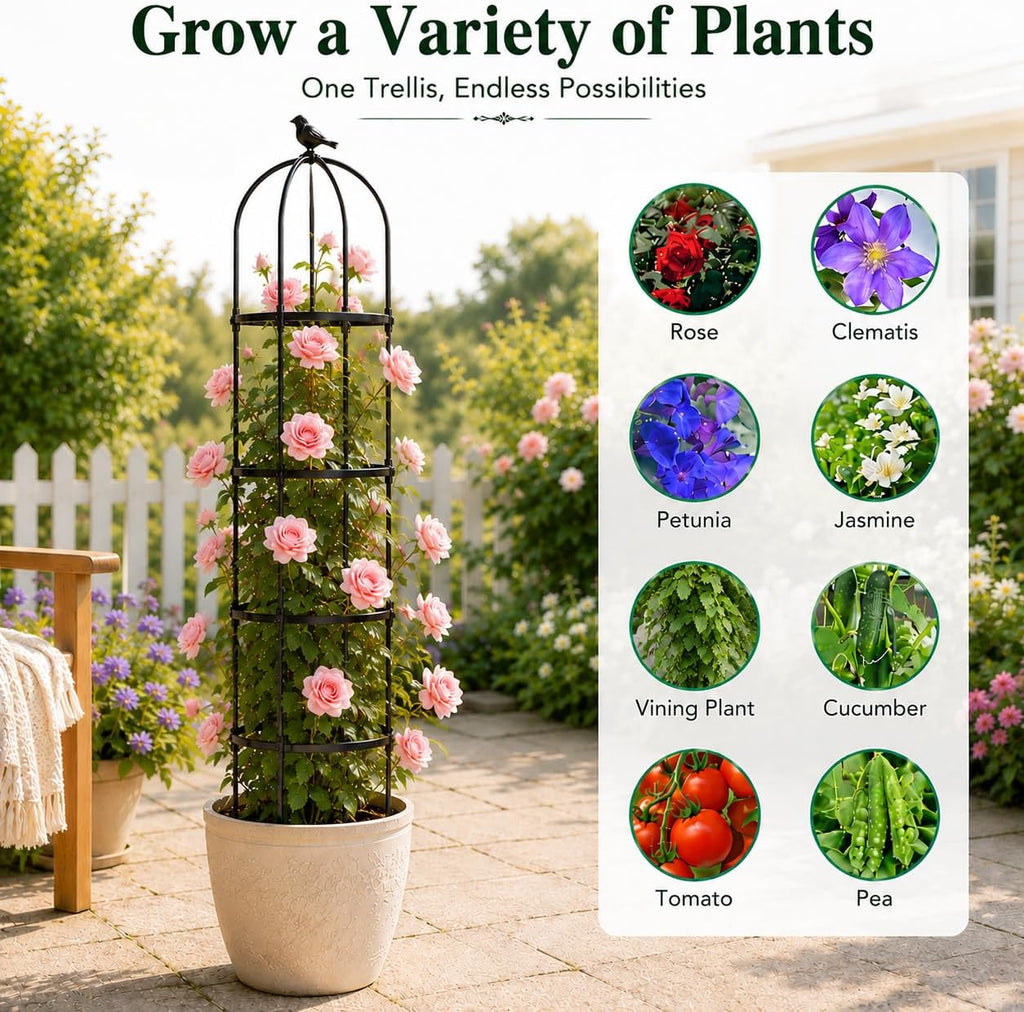 Garden Obelisk Trellis for Climbing Plants,6.3 ft, Black, 2PC | Outdoor Rose Trellis, Indoor Support for Potted Light
