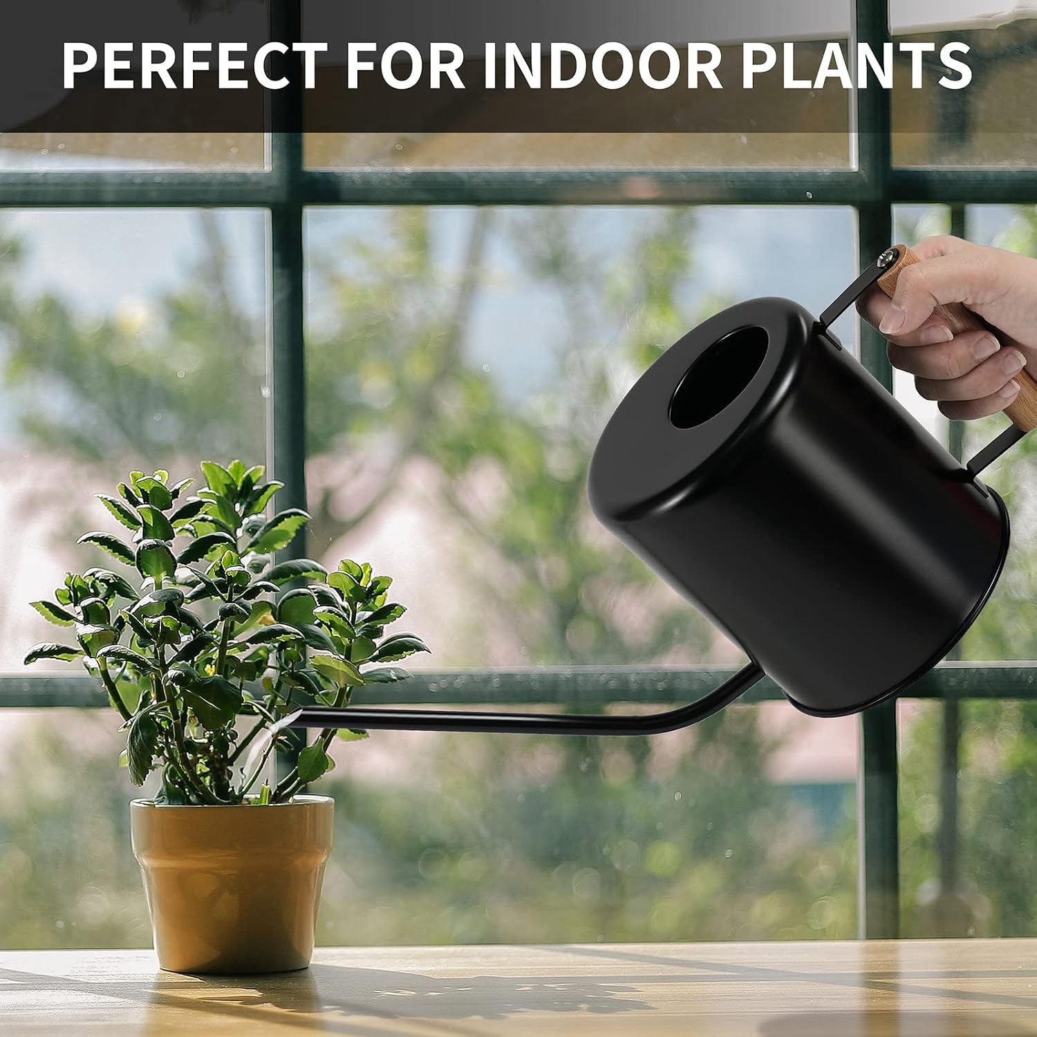 1.5 Liter Black Watering Can for Indoor Plants, House Plants, Flower Watering, Outdoor Plants - Small Metal Watering