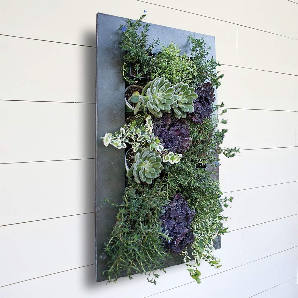 Modern Home Living Wall Galvanized Steel/Zinc Succulent Planter, Wall Mounted Garden Pocket Planter (18 Pocket, Aged