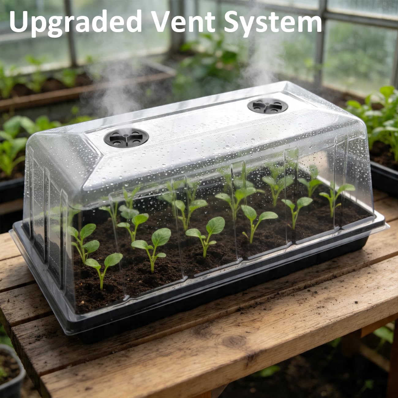 5 Pack 1020 Plant Tray with Tall Dome (7.3 inch), Plastic Flat Seed Starter Tray with Humidity Domes, Heavy Duty 1020