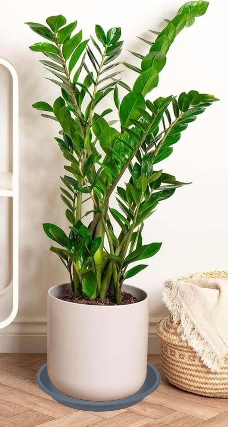 2 Pack of 19 inch Plant Saucer, Large Plant Tray, Heavy Sturdy Plant Drainage Tray for Indoors, Bird Bath Bowls, Sturdy