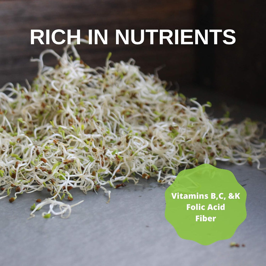 Handy Pantry Certified Organic Alfalfa Sprouting Seed 2.5 Lbs High Sprout | Germination- Gardening, Growing Salad