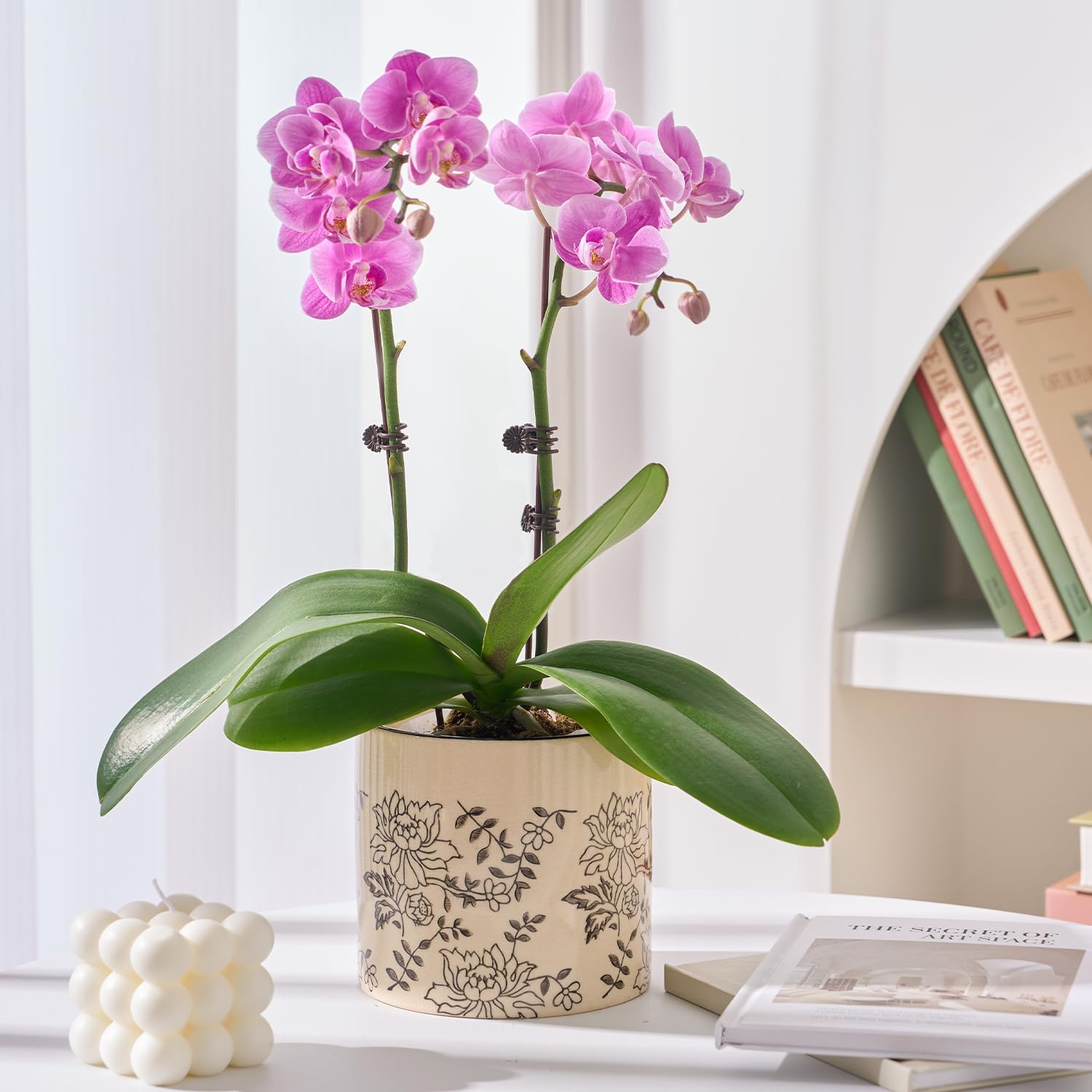 STHIE Indoor Ceramic Plant Pots with Drainage Holes, 5 Inch, Peony Design | Handmade Hand-painted Cute Planter Pots for