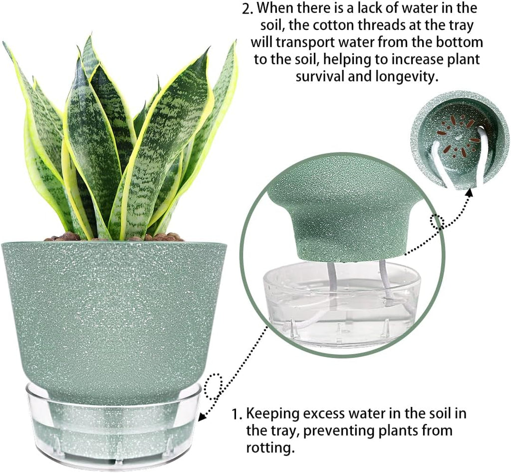 6-Inch Self-Watering Plant Pot with Visual Reservoir and Drainage Hole, Set of 5, Plastic Flower Pots, Planting Pot for