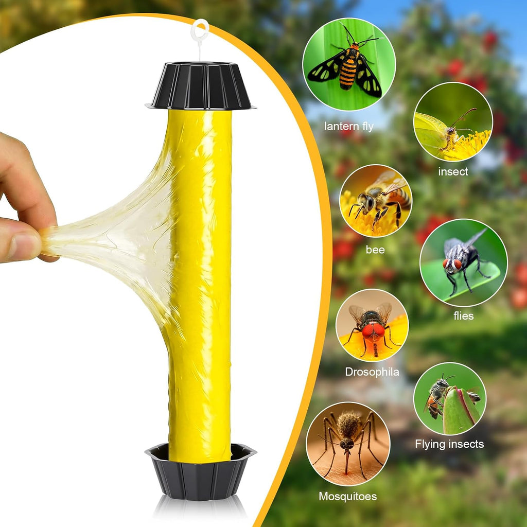 Qualirey 8 Pcs Fly Traps for Indoor Outdoor Hanging Fruit Fly Trap Sticky Mosquito for Home Insect 10 x 2.5 Inches