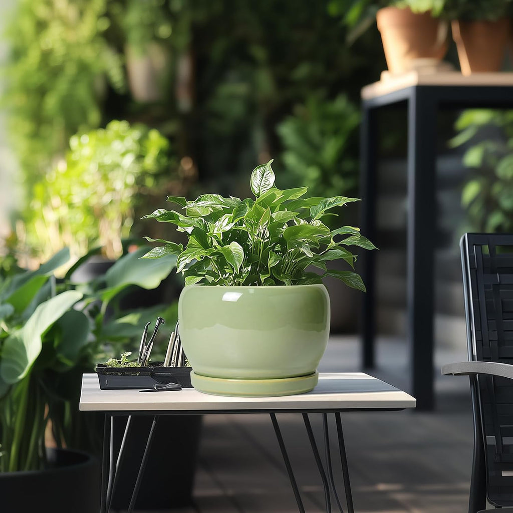 SQOWL 8 Inch Plant Pot - Ceramic Planters with Drainage Hole and Tray, Round Flower Pot for Indoor Plants, Modern