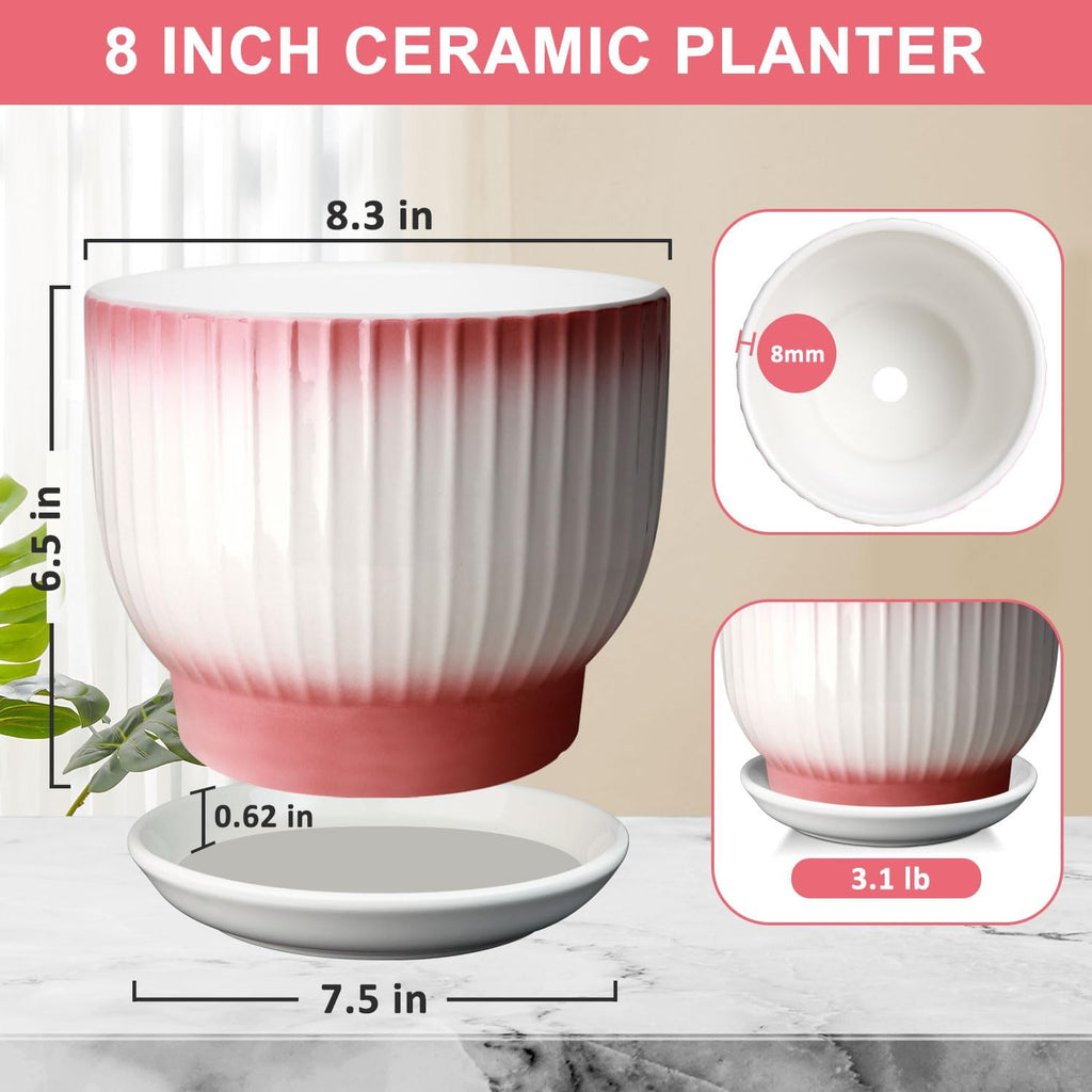 8 Inch Plant Pot, Ceramic Planter with Drainage and Saucer, Ceramic Pots for Plants, Indoor Plant pots,Flower pots(Pink