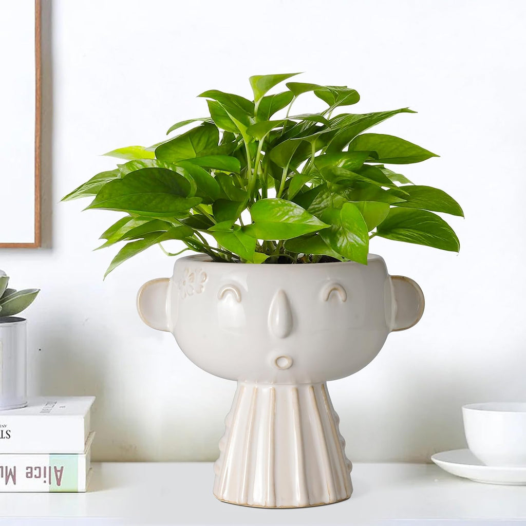 Face Planter Pot 7 Inch - Cute Ceramic Flower Head Planter for Indoor Outdoor Succulent Pot with Drainage Hole Flower