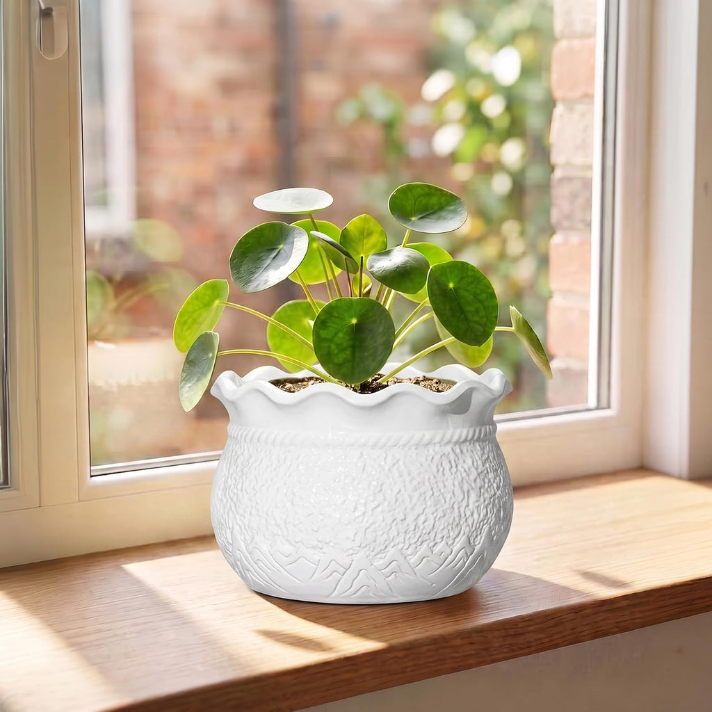 Ceramic Flower Pots, 6 Inch Plant Pot for Indoor Plants, White | Decorative Pots for Plants with Drainage Hole, Unique