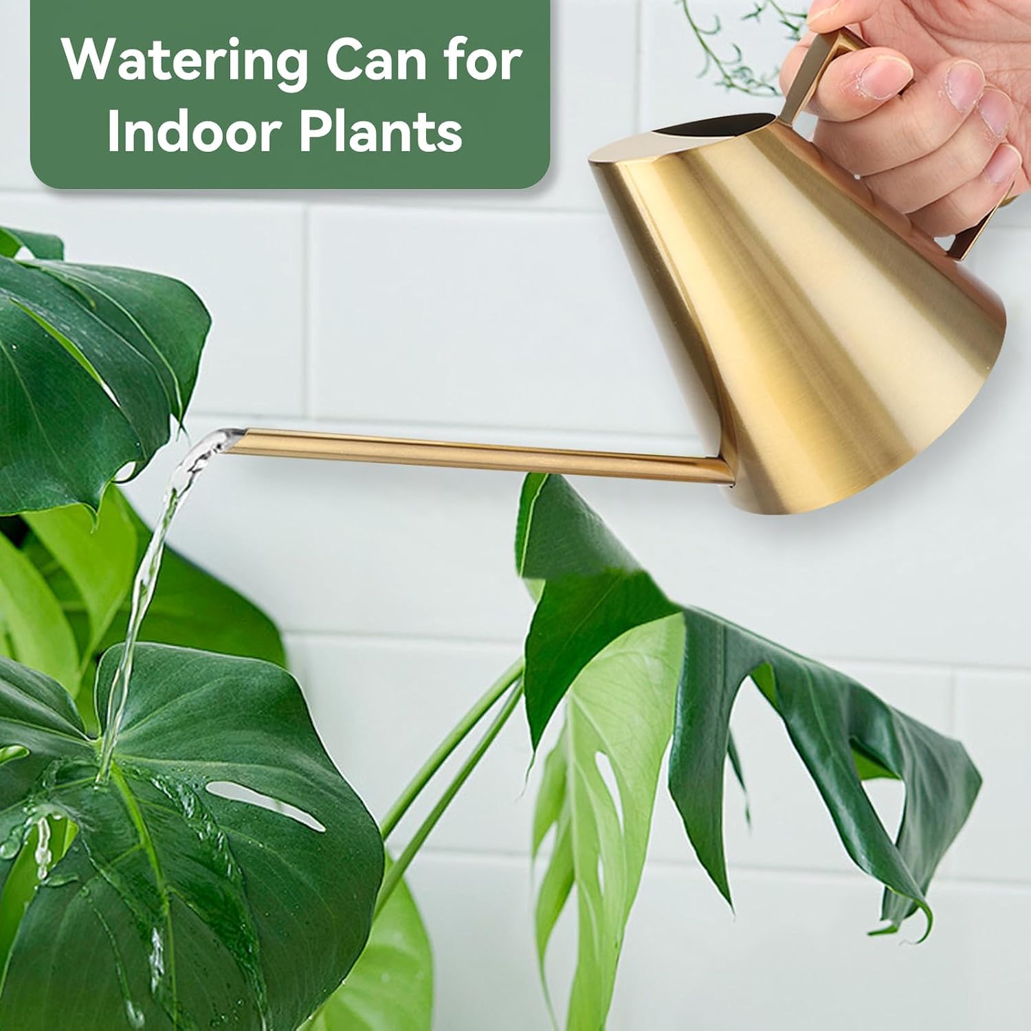 Watering Can for Indoor Plants, 13.5 Oz/400 Ml Indoor Plant Watering Can Stainless Steel Small Water Cans with Long