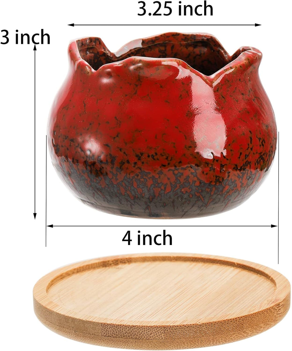 TOPZEA Set of 6 Succulent Plant Pots, 4 Inch Glazed Ceramic Pots with Drainage and Saucer, Mini Bonsai Planter Small
