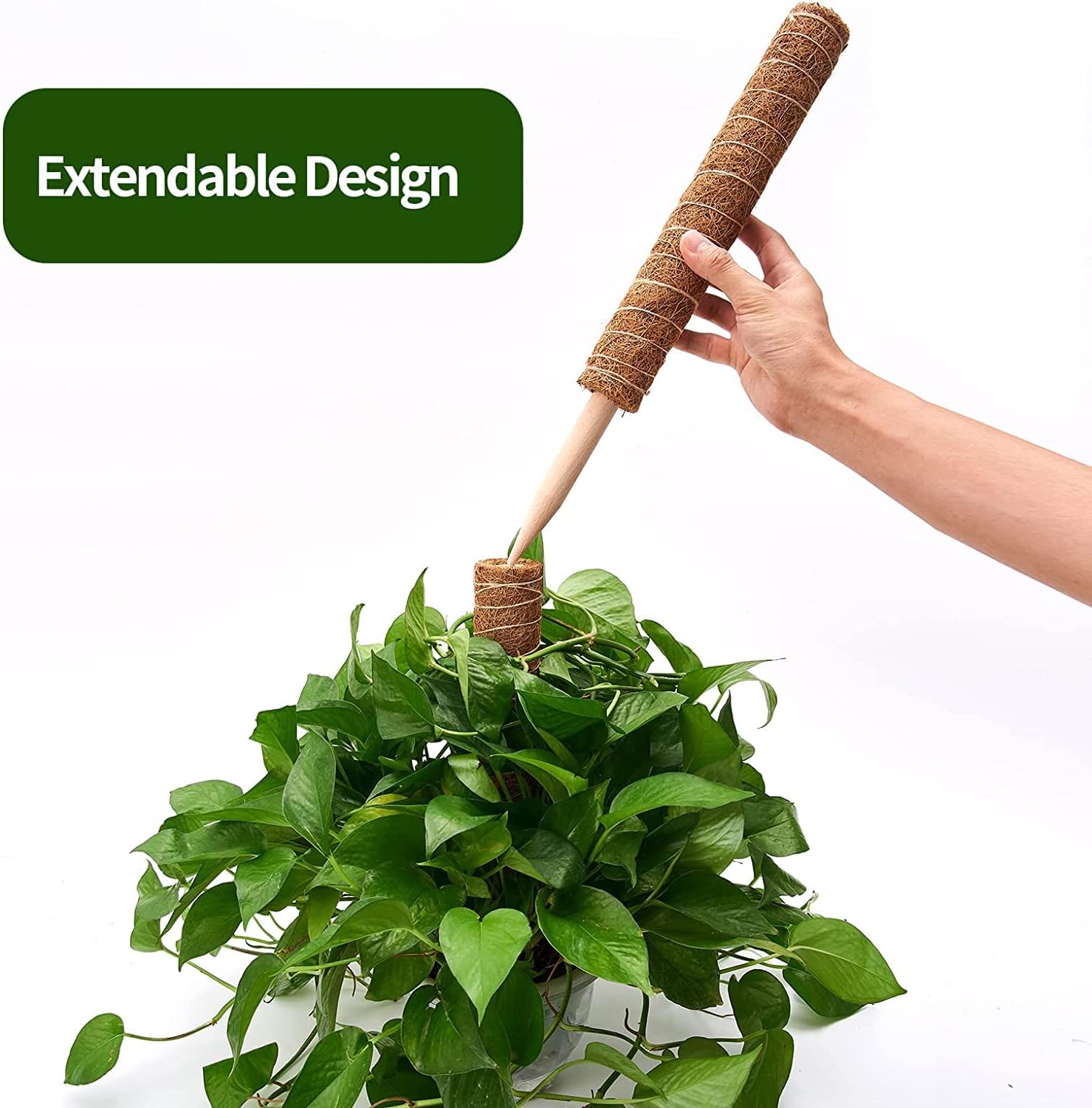 Eibikdi 101in Moss Pole for Plants Monstera 8 Pcs | Plant Support Stakes for Indoor Climbing Plants Grow Upwards, 65ft