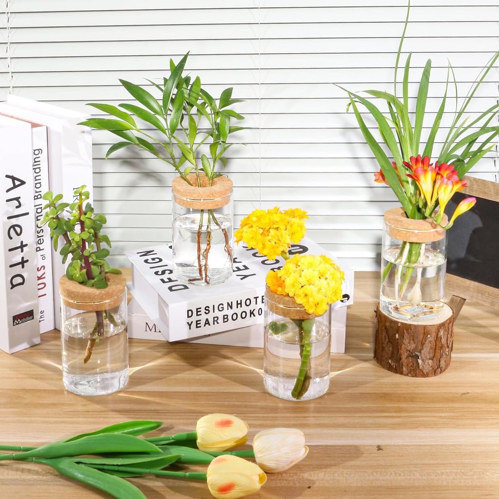 Separated Desktop Glass Flower Vases with Wooden Saucers - Ideal Plants Propagation Stations for Living Room, Bedroom