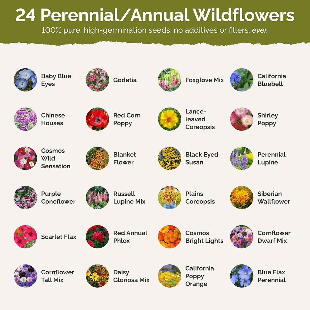 Eden Brothers Pacific Northwest Wildflower Mixed Seeds for Planting, 1 lb | 480,000+ Seeds with Cornflower, CA