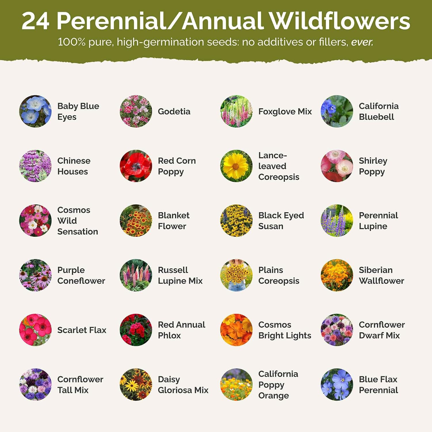 Eden Brothers Pacific Northwest Wildflower Mixed Seeds for Planting, 1 lb | 480,000+ Seeds with Cornflower, CA