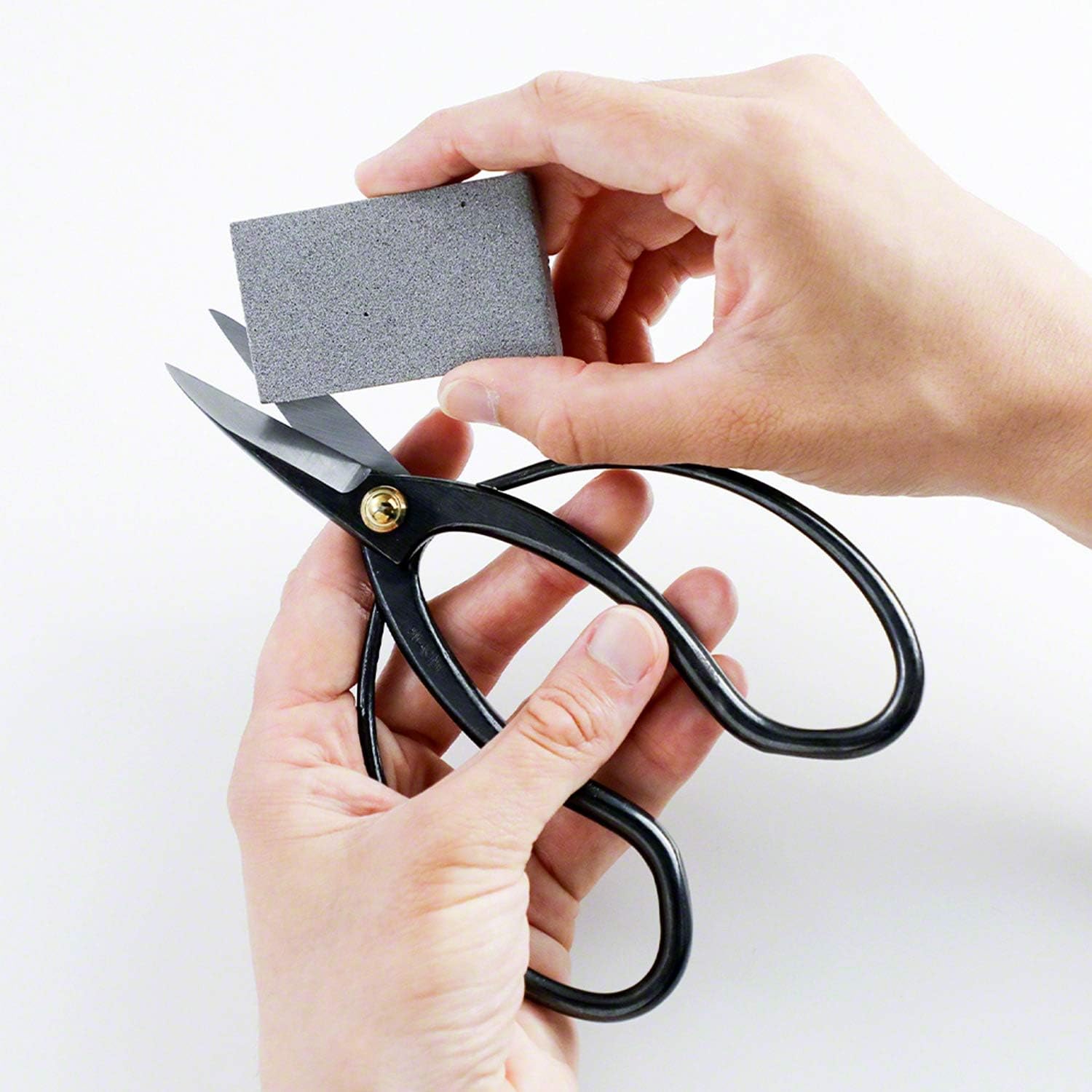 Wazakura 4PCS Bonsai Essential Tool Kit MADE IN JAPAN, Japanese Bonsai Scissors 7inch(180mm) + Concave Branch Cutter