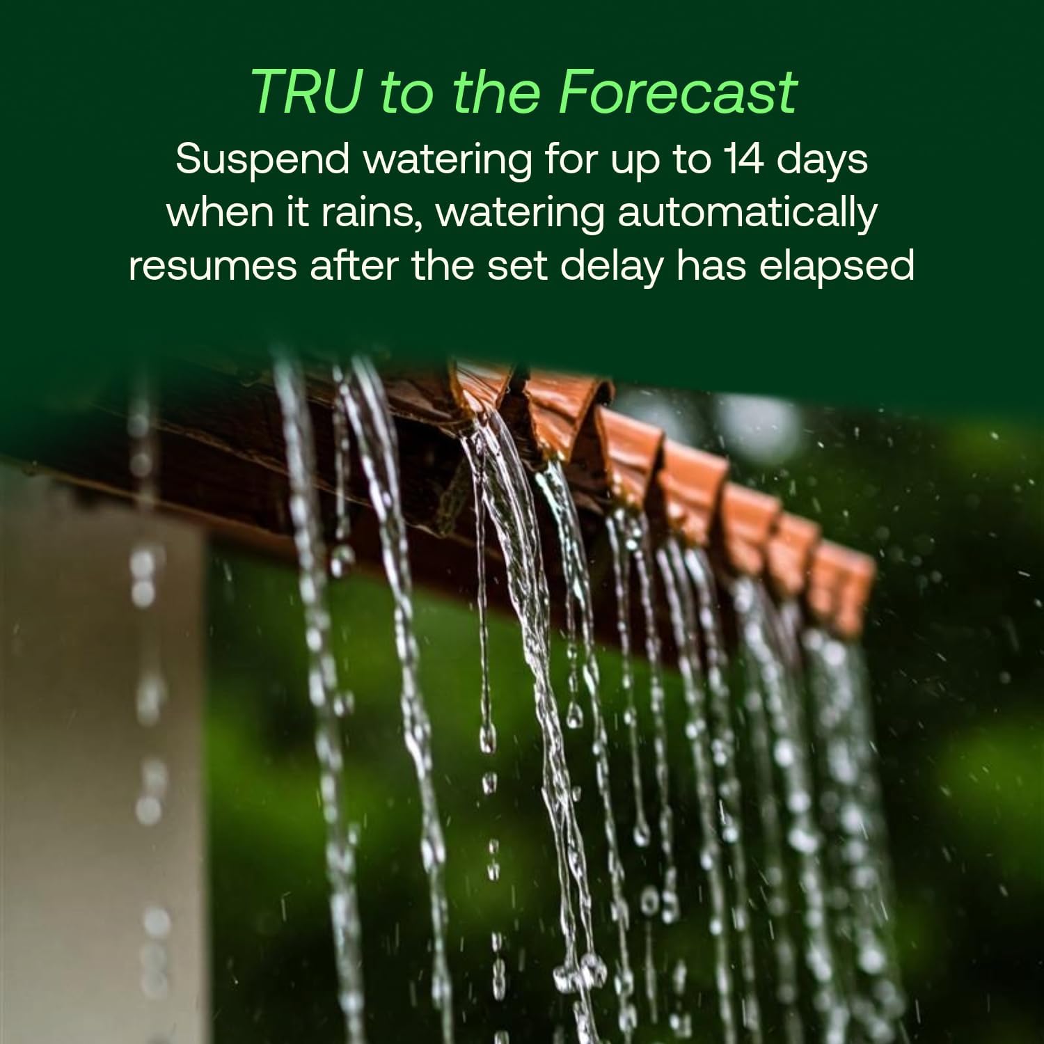 Rain Bird TRU6I Program-Based Indoor Irrigation Controller/Timer, WiFi Ready, 6-Zone/Station