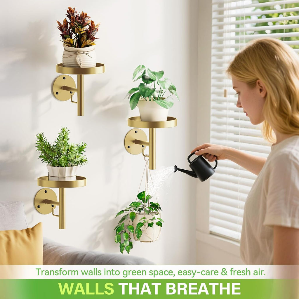 DELLAN Wall Plant Holder, 3-Pack Floating Shelves for Plants, All Gold | Wall mounted indoor hanging plants shelf &