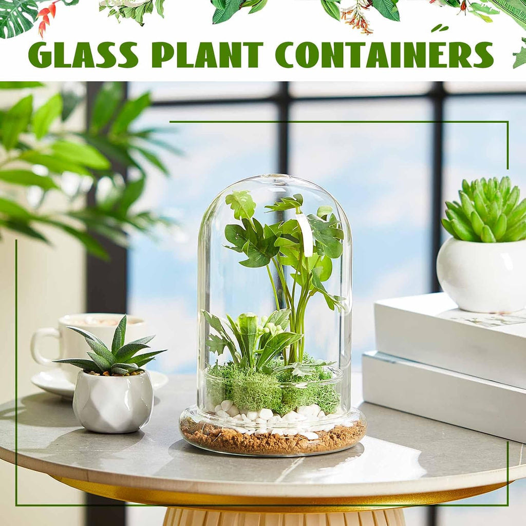 1 PC 5.9 x 7.9 Inch Glass Terrarium Dome Cloche with Air Hole & Glass Base, Clear Terrarium Containers Ventilated Plant